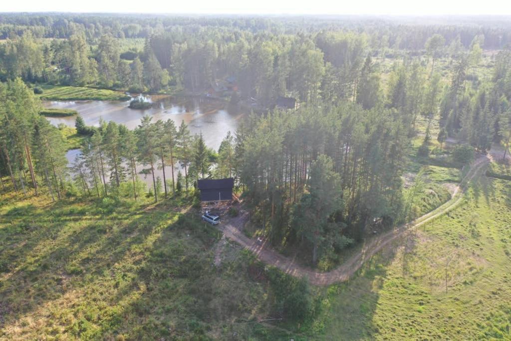 Viking House In The Tree! Jacuzzi, Sauna,Apkure! Lici  Bagian luar foto
