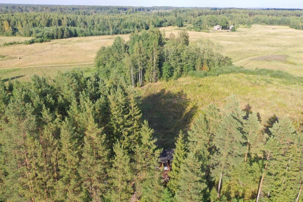 Viking House In The Tree! Jacuzzi, Sauna,Apkure! Lici  Bagian luar foto